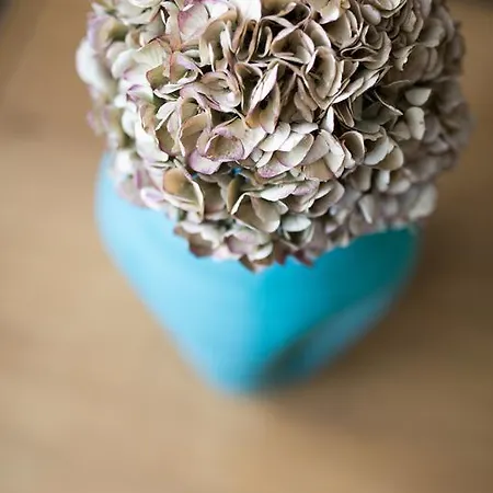 Hotell & Restaurant Fackelgarten Plau Am