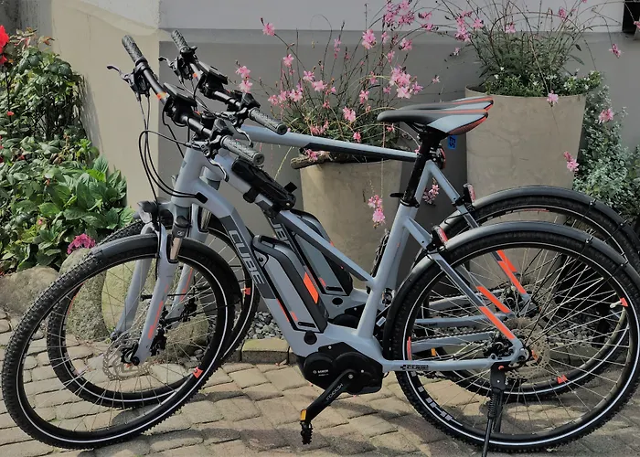 Hotel & Restaurant Fackelgarten Plau Am 3*